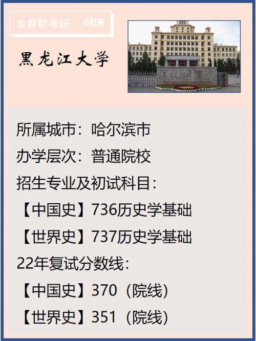 黑大什么系最好