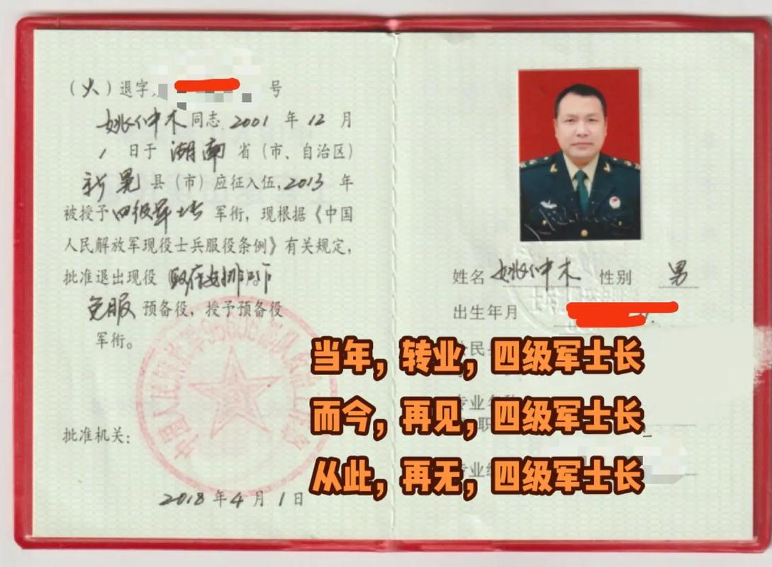 当兵转业学点什么