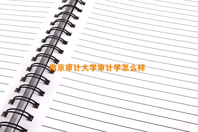 南京审计大学审计学怎么样