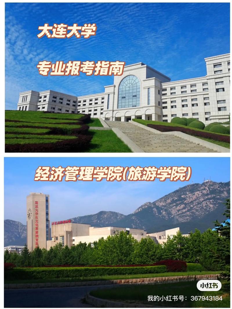 大连大学竟有什么专业