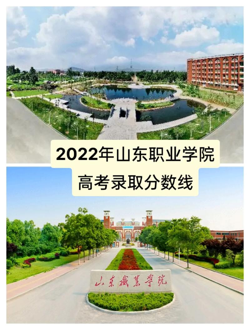 山东职业学院什么专业