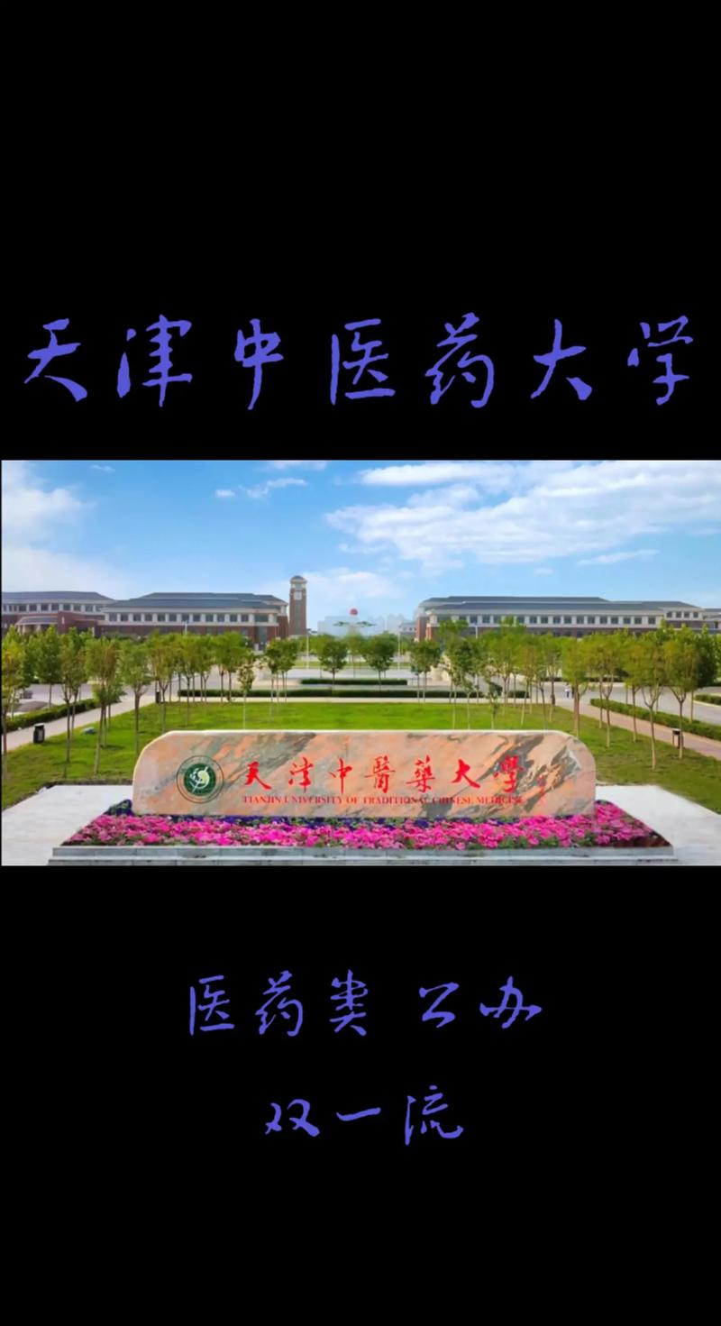 天津中医什么大学