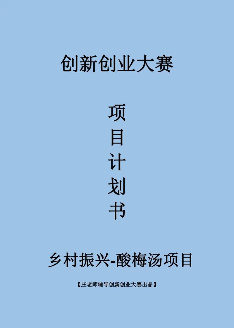 大学生创新项目怎么写