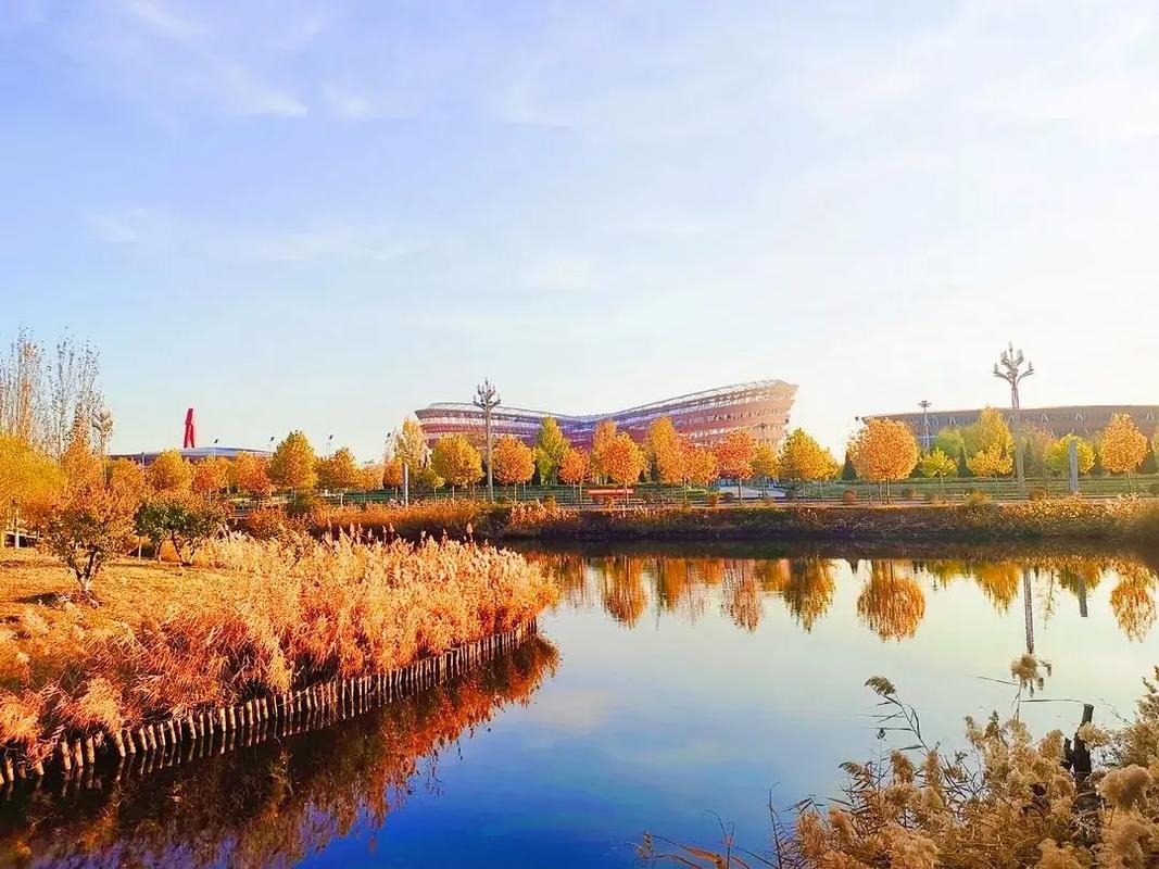 盘锦地区有什么大学