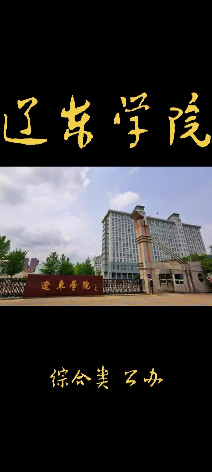 辽东是什么大学