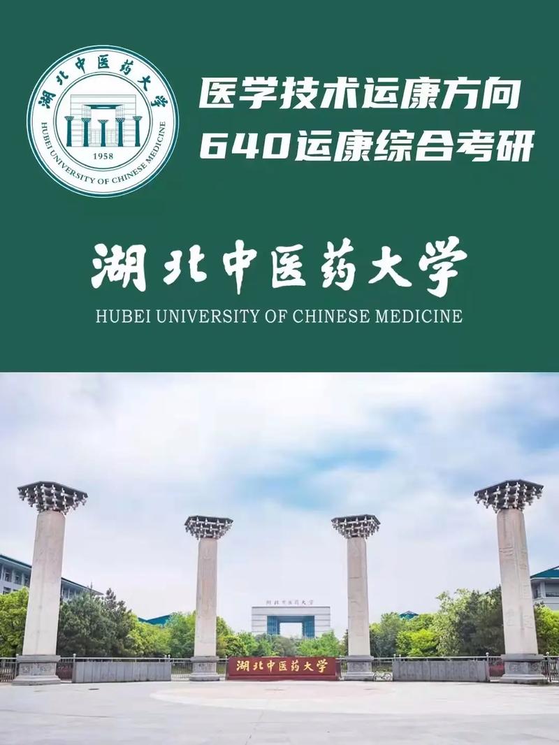 湖北中医大学属于什么