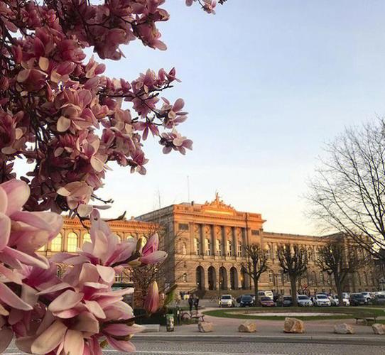 斯特拉斯堡大学怎么样