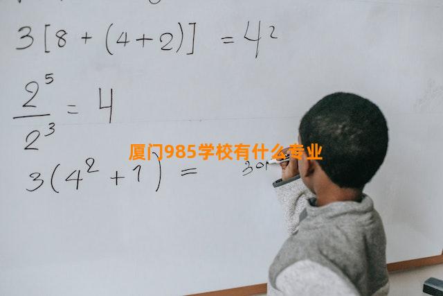 厦门985学校有什么专业