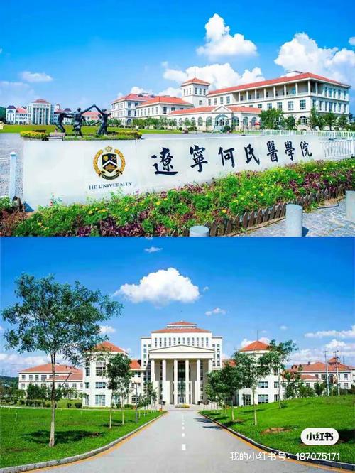 辽宁何氏学院怎么样