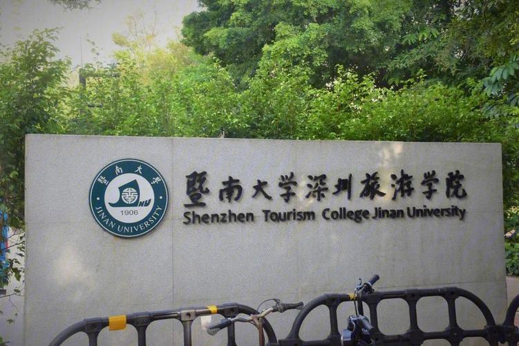 深圳什么南大学