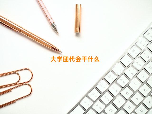 大学团代会干什么