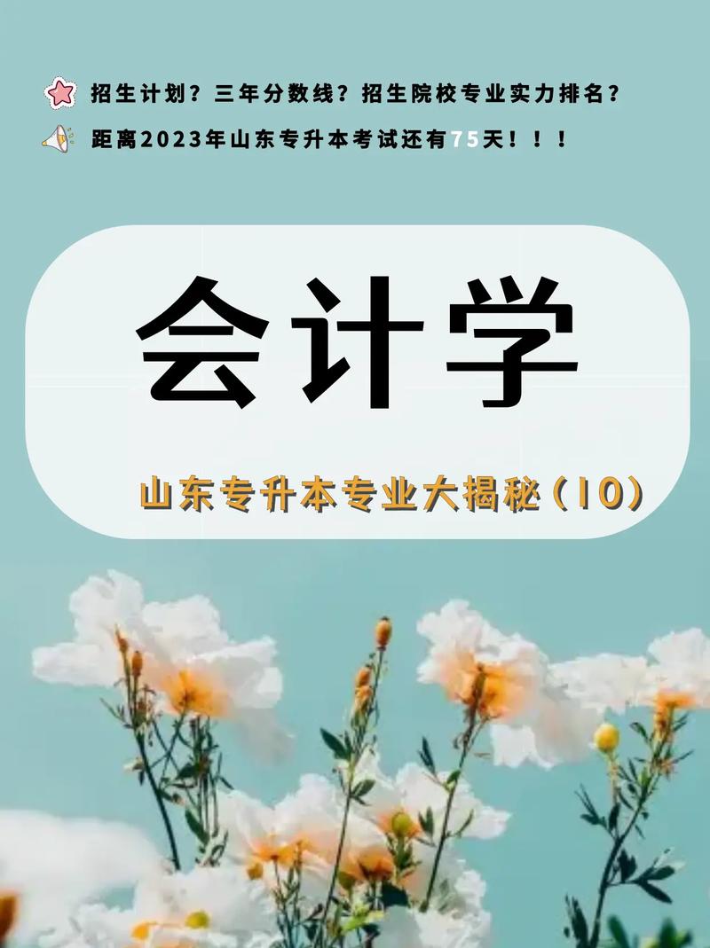 大学会记是什么专业