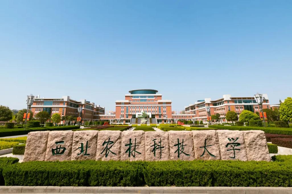 微西农什么大学