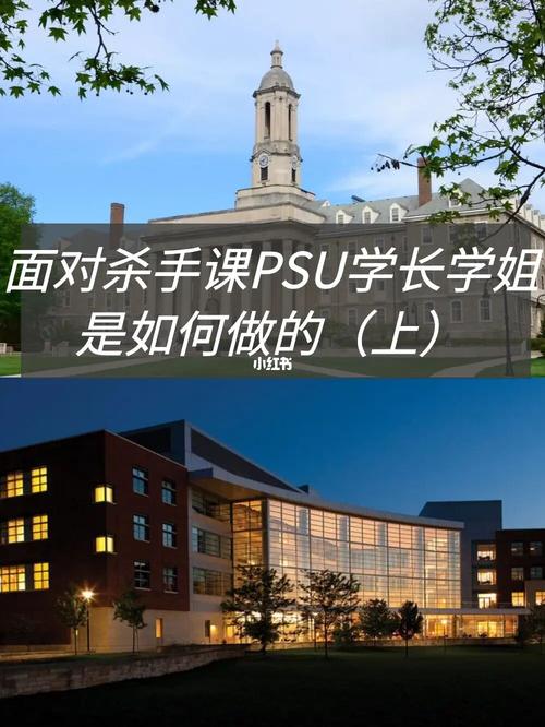 psu哪些校区