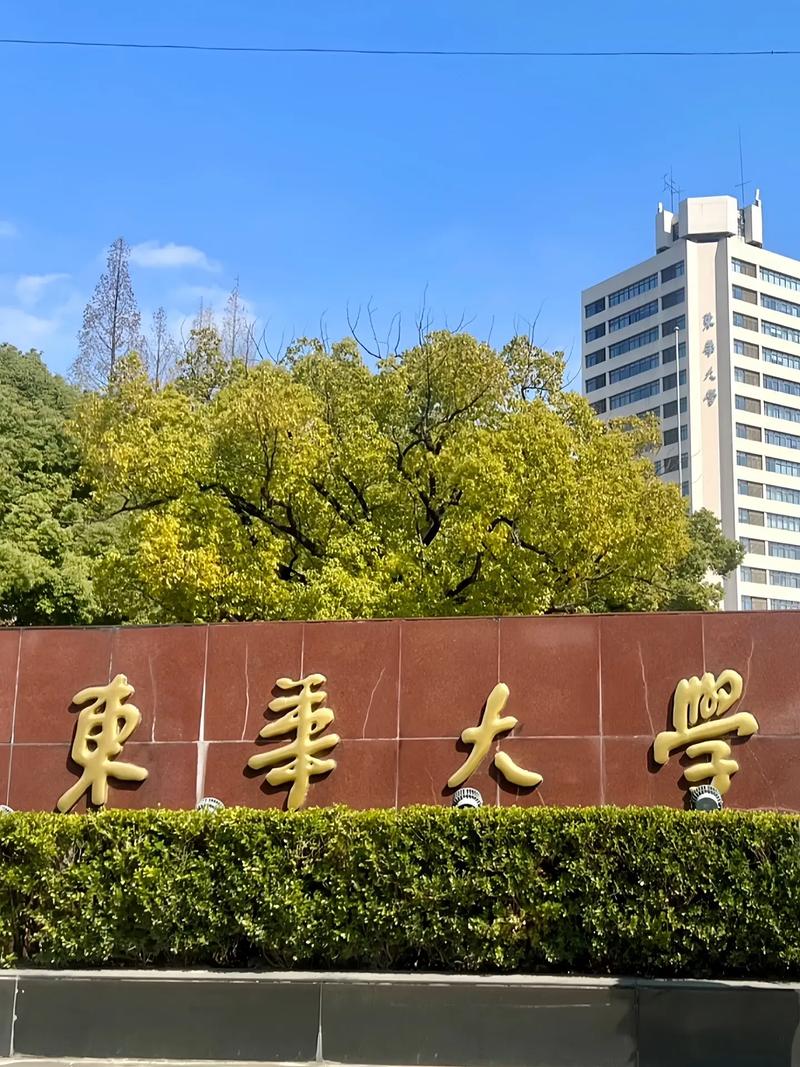 东华有什么大学