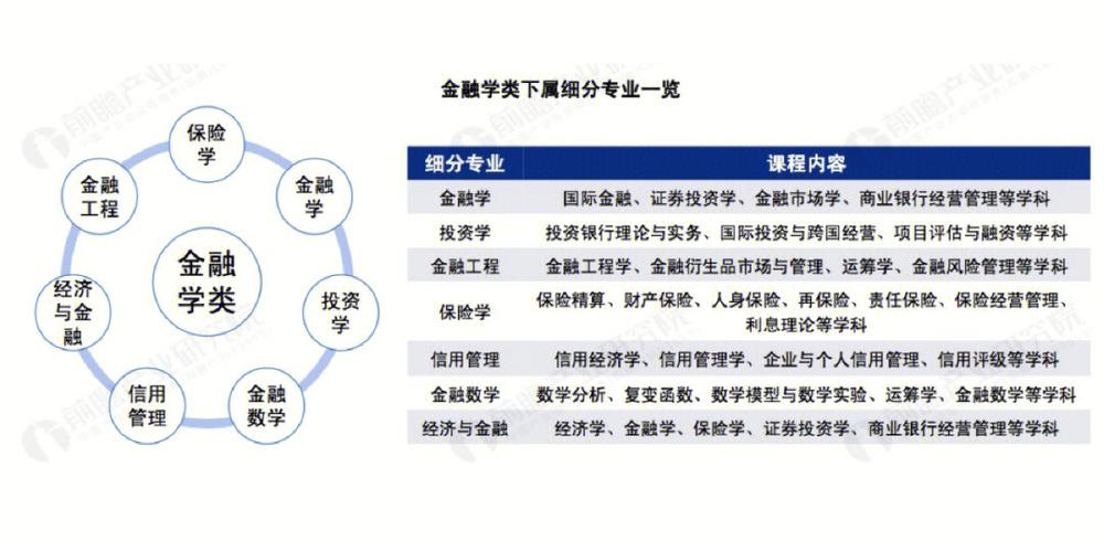 金融系有什么内容