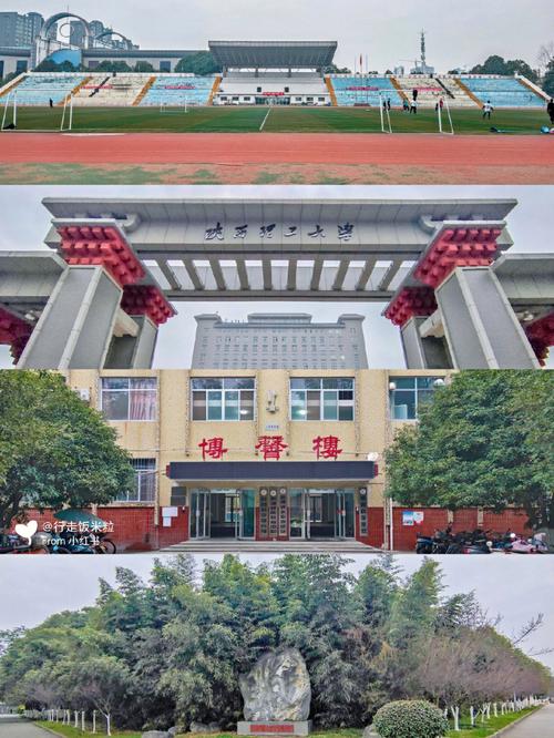 汉中有些什么大学