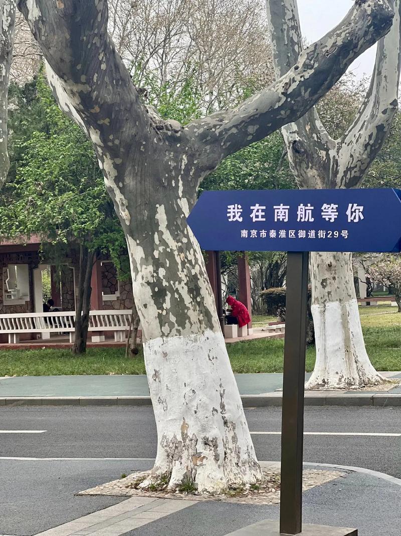 大学继续上去是什么