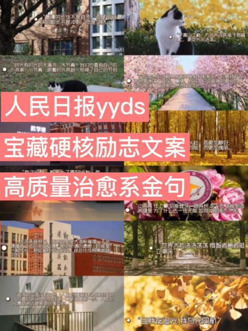 文案编辑报什么大学