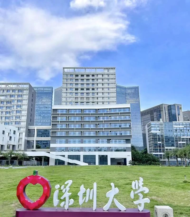 深大是什么大学