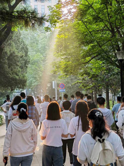 北京9什么大学生