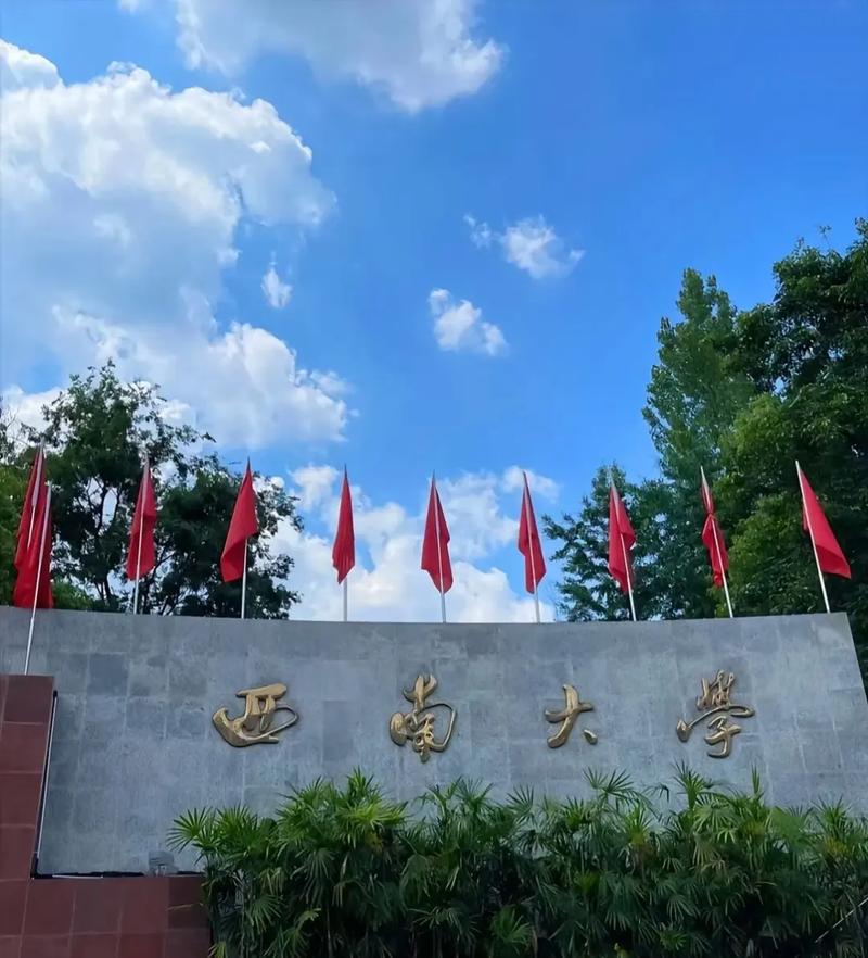 西南大学属于什么学校