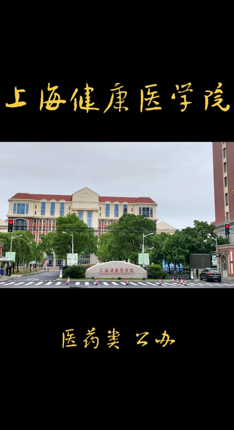 上海什么大学医学最好