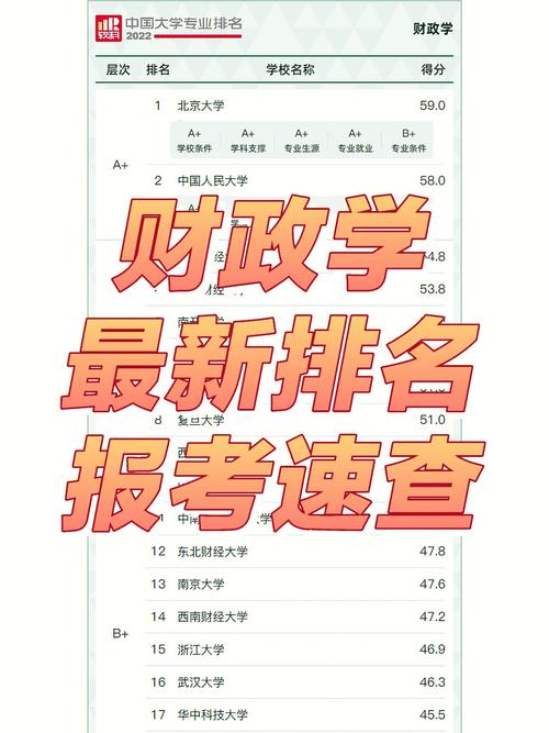 财政税务系学什么