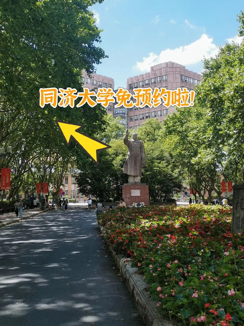 怎么进同济大学