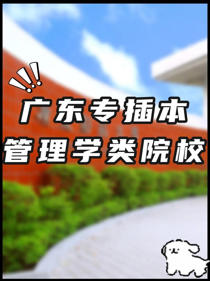 管理大学有哪些