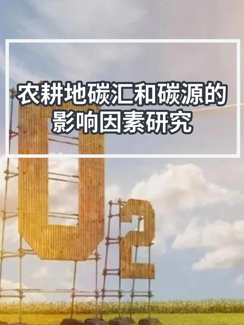 我国现在在研究什么