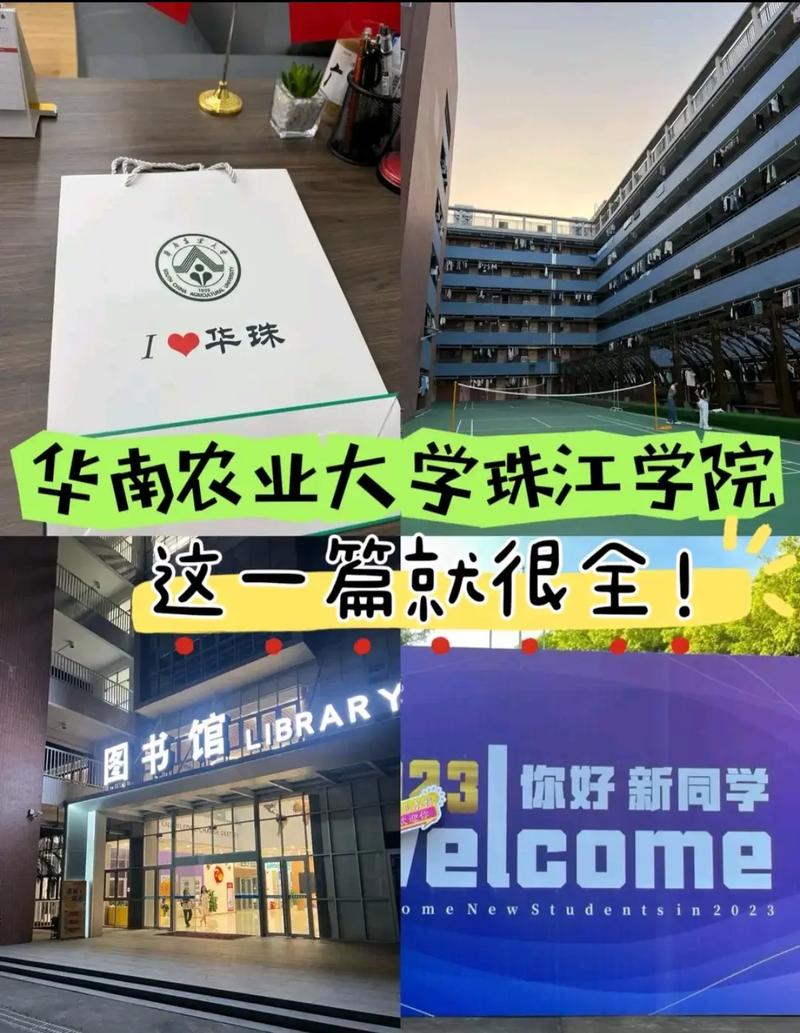 华珠隔壁有什么大学