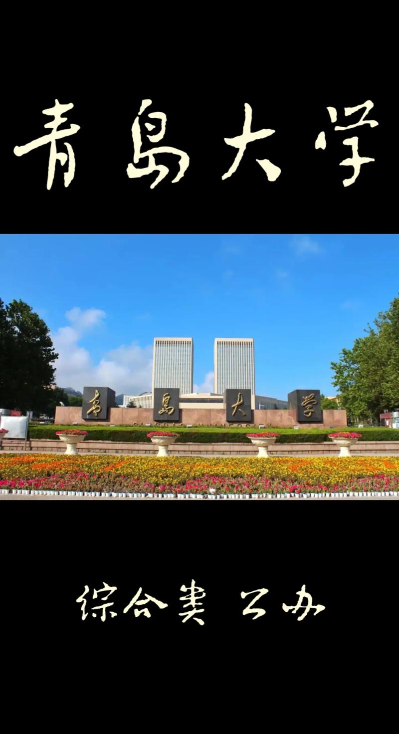 山东青岛是什么大学