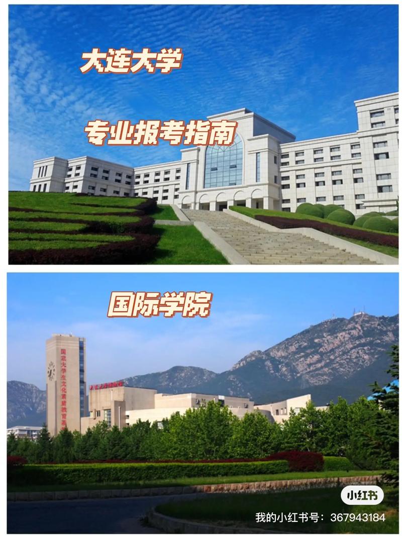 大连商务学院都有什么专业