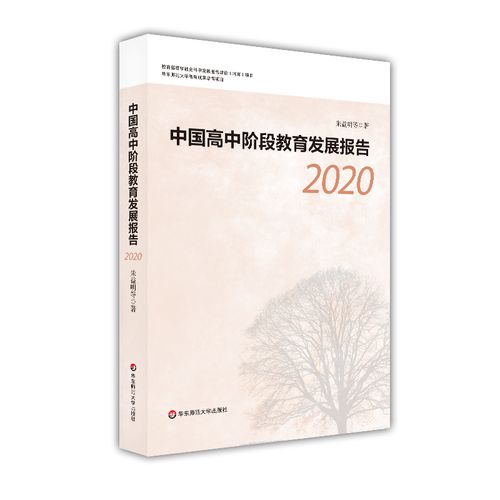 2020我国现在处于什么阶段