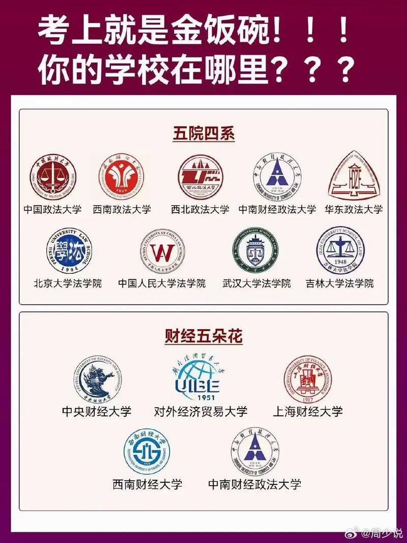 大学系有什么