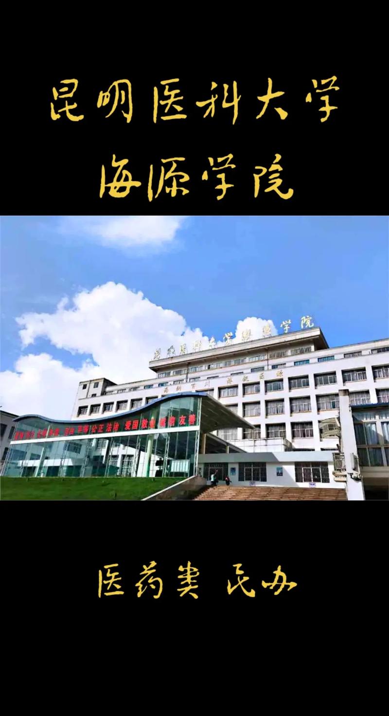 海源有什么大学