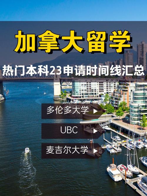 加拿大安大略省有哪些大学