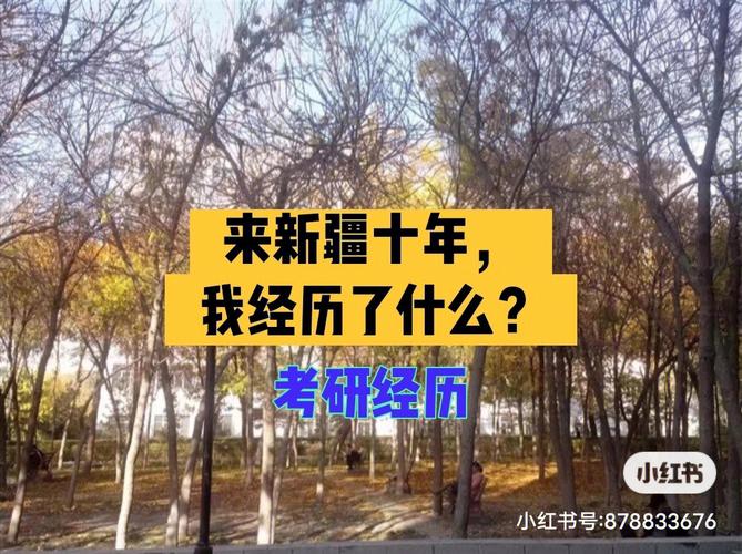 新疆551上什么大学