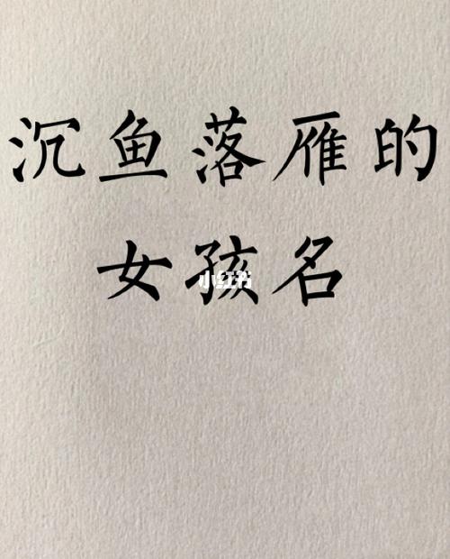 贞琪什么意思