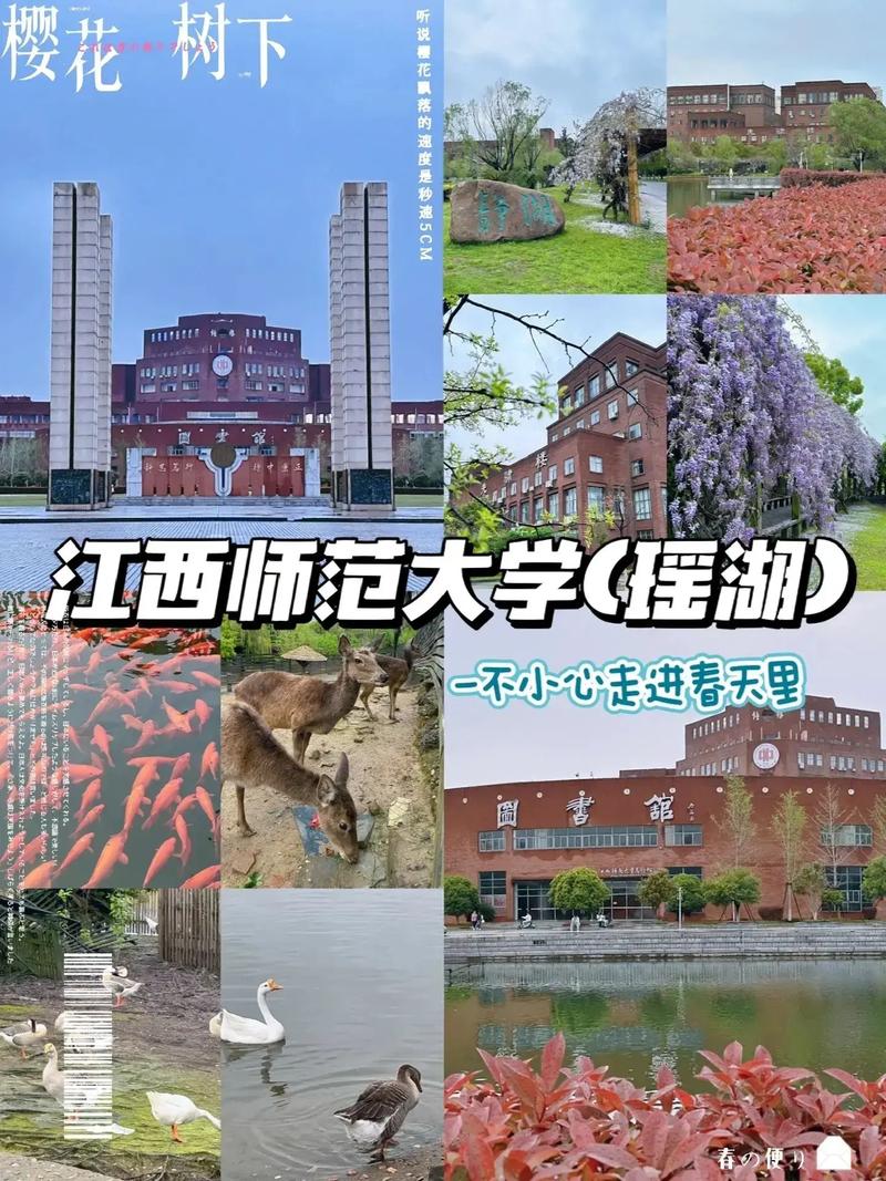 江西有个什么大学