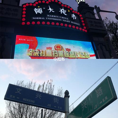 哈师大在什么街道