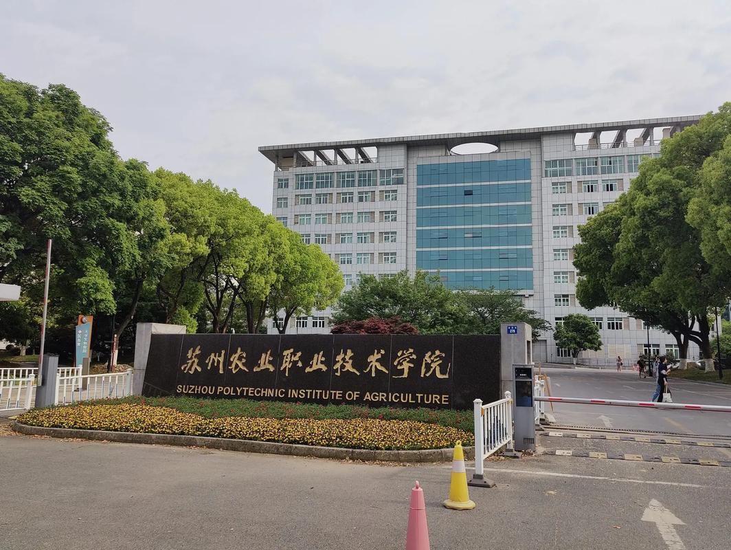 苏农和什么大学