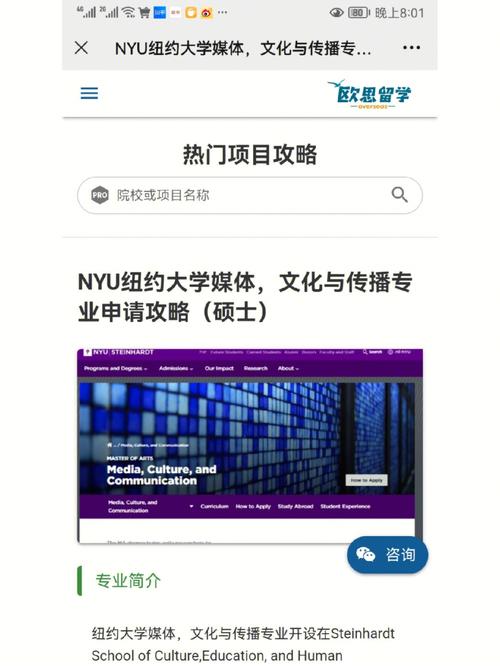 nyu有什么专业