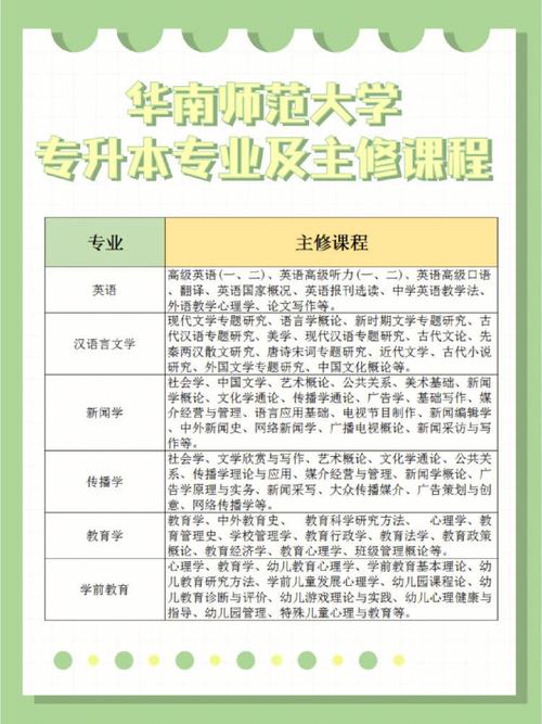 你大学主修什么专业