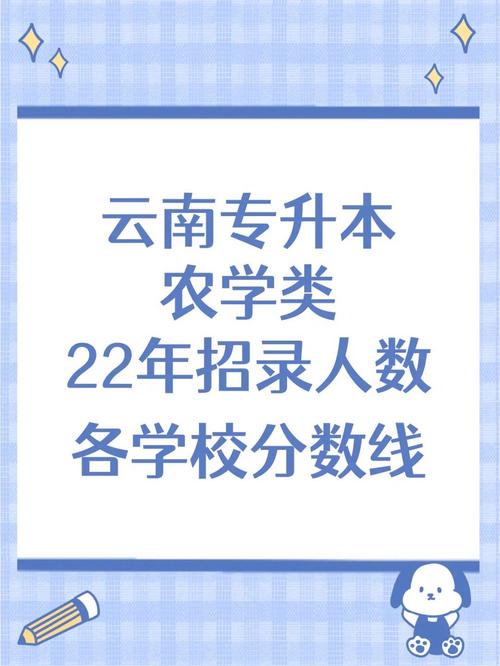 378能考云南什么学校