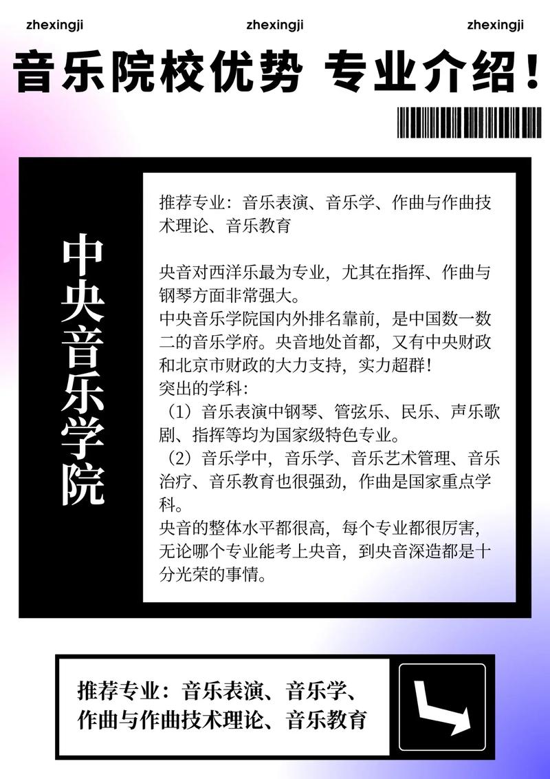 大学音乐什么专业