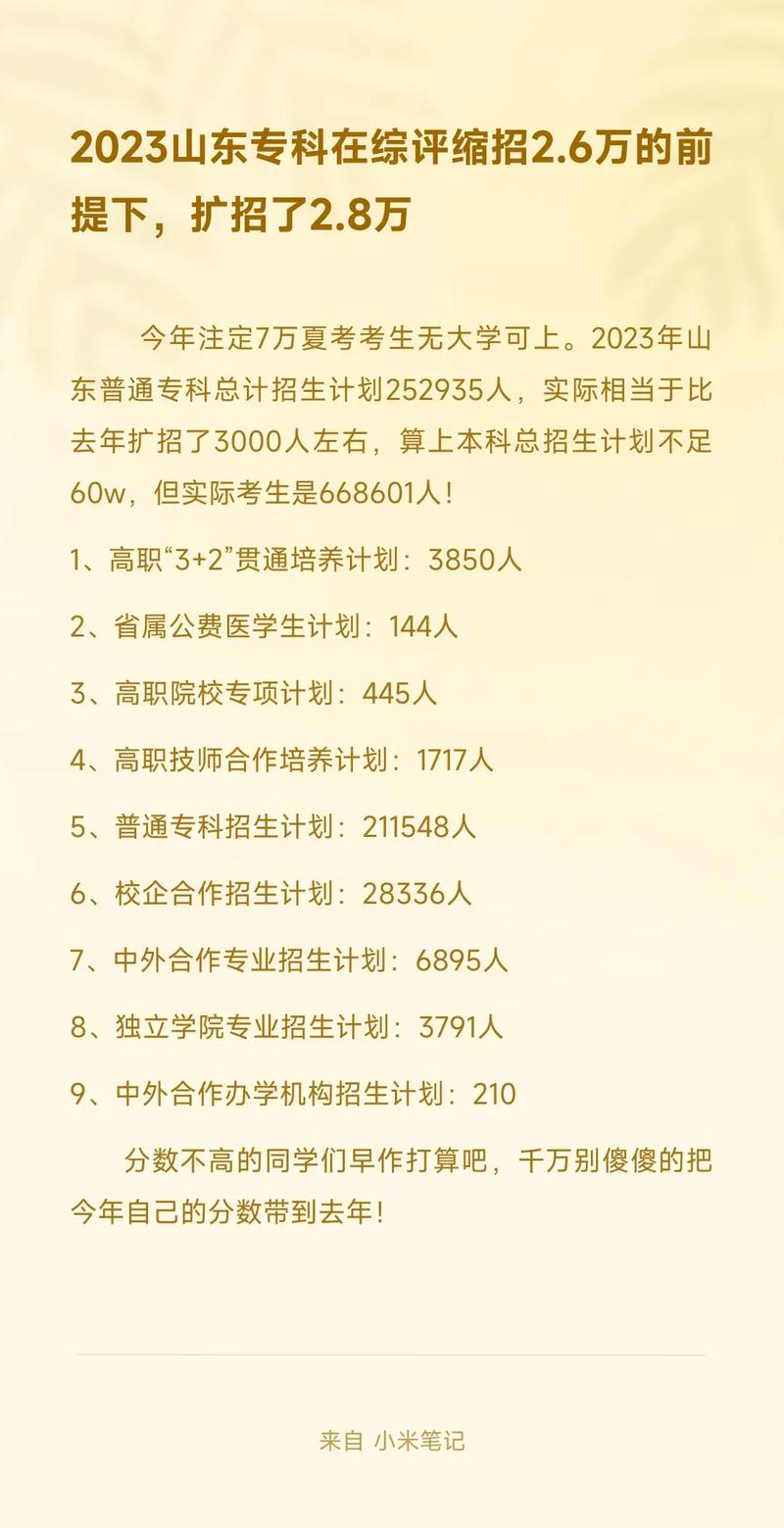 山东556能上什么大学