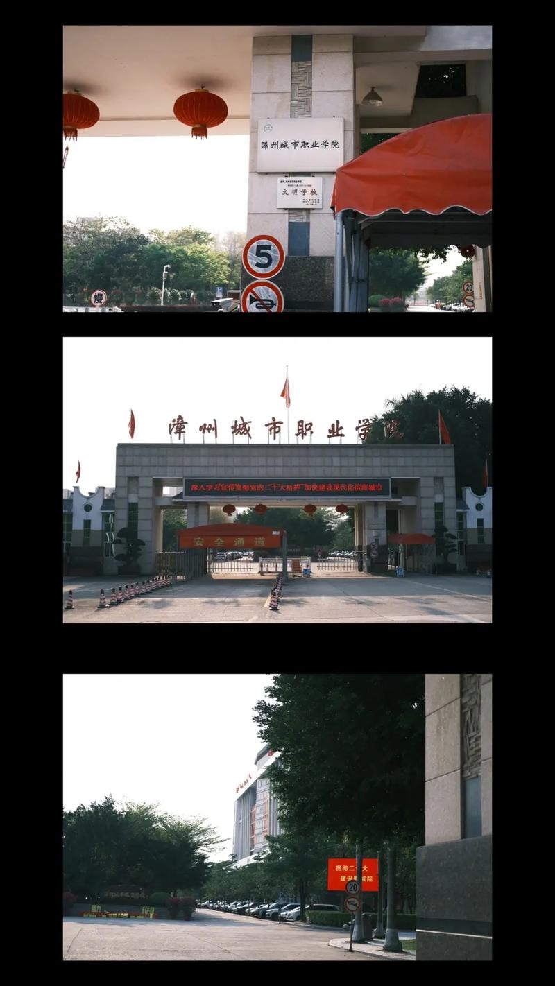 漳州大学属于什么区