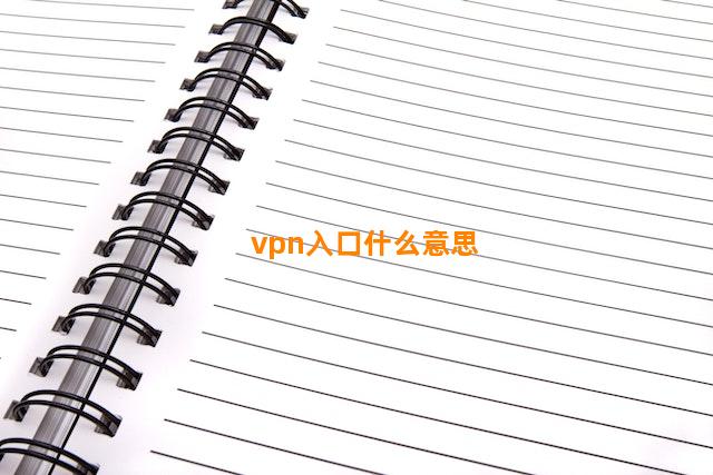 vpn入口什么意思